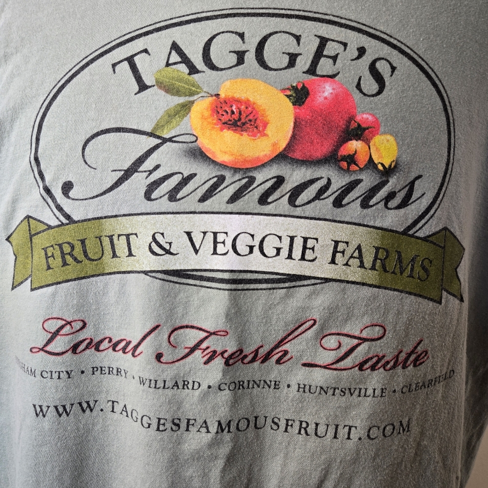 Graphic Tee Fruit and Veggie XL